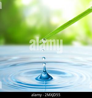 Wassertropfen fallen von der Grasklinge in Wasser an sonnigen Tagen, Schließung. Umweltschutz Stockfoto