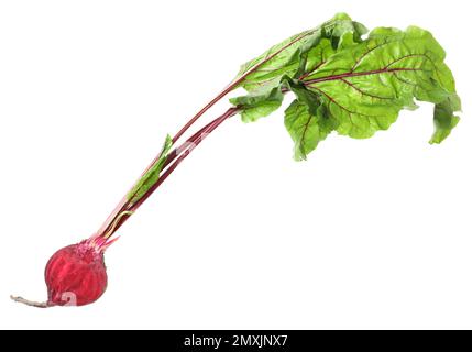 Die Hälfte der rohen reifen Rüben mit auf weiß isolierten Blättern Stockfoto