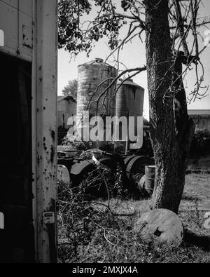 Zwei verwitterte Metallsilos stehen in der Sonne zwischen einem Lkw und einem Baum auf einem Bauernhof. Littleton Massachusetts. Das Bild wurde mit analogem Schwarz und Weiß aufgenommen Stockfoto