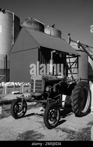 Ein Farmall-Traktor, der vor einer Reihe oder Getreidesilos und in Kisten verpackten Kürbissen auf einem Bauernhof in Littleton, Massachusetts, geparkt ist. Das Bild wurde mit analogem Schwarz aufgenommen Stockfoto