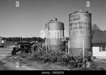 Hinter zwei Metallsilos mit Tauben auf ihren Roven steht ein internationaler Oldtimer-Traktor auf einem Bauernhof in Littleton, Massachusetts. Bild wurde erfasst Stockfoto