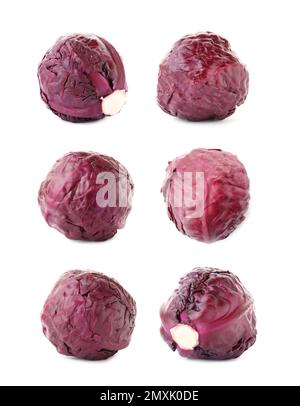 Satz reifer Rotkohl, isoliert auf Weiß Stockfoto