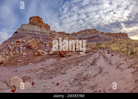 Die Westklippen des Lower Blue Mesa im Petrified Forest National Park in Arizona. Stockfoto