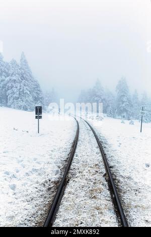 Bahngleise der Brockenbahn in verschneiter Landschaft, Nebel, Harz-Nationalpark, Schierke, Wernigerode, Harz County, Sachsen-Anhalt, Deutschland, Europa Stockfoto