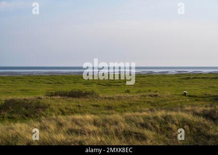 Salzmarschen an der Küste, Waddenmeer, Niedersachsen Waddenmeer-Nationalpark, Juiseninsel, Ostfriesien, Niedersachsen, Deutschland, Europa Stockfoto