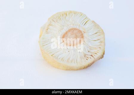 Makrofotografie von Jackfruchtscheiben (Artocarpus heterophyllus) Stockfoto