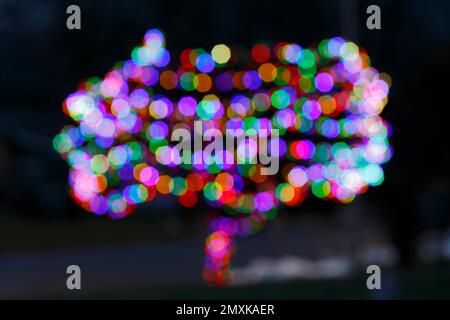 Bokeh-Bälle, farbige Lichter auf einem Baum, Provinz Quebec, Kanada, Nordamerika Stockfoto