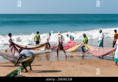 Fischer bei der Arbeit, Fischer, die Netze aus dem Meer holen, Darwins Beach, Wella Odaya bei Ranna, Südprovinz, Sri Lanka, Indischer Ozean, Asien Stockfoto