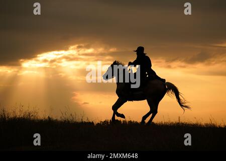 Cowboy auf seinem Pferd während der Pferderennen und im Hintergrund eine Gruppe von sechs Cowboys und Cowgirls, die den Lauf der Pferde beaufsichtigen Stockfoto