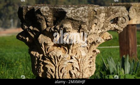 Eine korinthische Hauptstadt in Antipatris, Tel Afek, Israel. Antipatris, auch bekannt als Binar Bashi, wurde im Mittelalter zu einer osmanischen Festung. Stockfoto