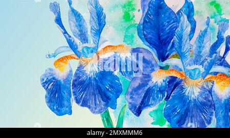 Blaue, lila, wasserfarbene Blüten der Iris auf grünem Hintergrund. Strauß von Iris, Nahaufnahme Stockfoto