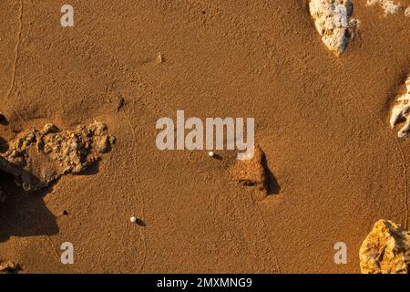 Hintergrund von nassem Sand auf dem roten Meer Stockfoto