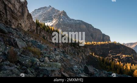 Wandern am Lake O'Hara zum Lake McArthur Trail durch die Felsblöcke im Herbst. Yoho-Nationalpark, Kanadische Rockies. Stockfoto