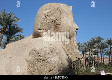 Sphinx von Memphis, Ägypten Stockfoto