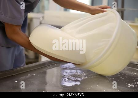 Arbeiter, der in einer modernen Fabrik frischen Käse aus der Schimmelpilze holt, Nahaufnahme Stockfoto