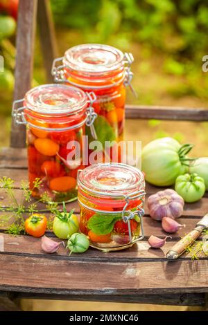Hausgemachte und natürliche eingelegte Tomaten im Sommergewächshaus Gemüse der Saison eingelegtes Gemüse für den Winter. Stockfoto