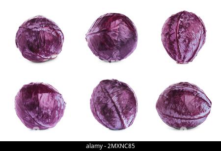 Satz reifer Rotkohl, isoliert auf Weiß Stockfoto