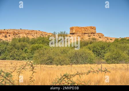 Auob River bei Stampriet Stockfoto