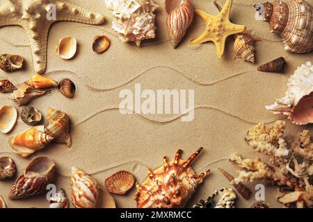 Rahmen aus verschiedenen Meeresmuscheln auf Sand, flach liegend. Platz für Text Stockfoto