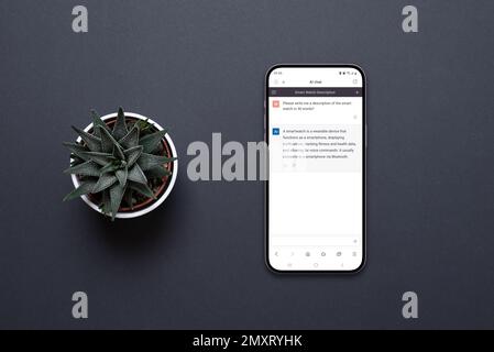 Mobiltelefon auf dem Schreibtisch mit einer Chatbot AI-App. Konzeptionelles Design der App zur Kommunikation mit künstlicher Intelligenz. Pflanze nebenan, Draufsicht, flach liegend Stockfoto