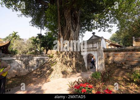 Hanoi, Vietnam, Januar 2023. Besucher im großen Park mit den historischen Gebäuden im Literaturtempel Stockfoto