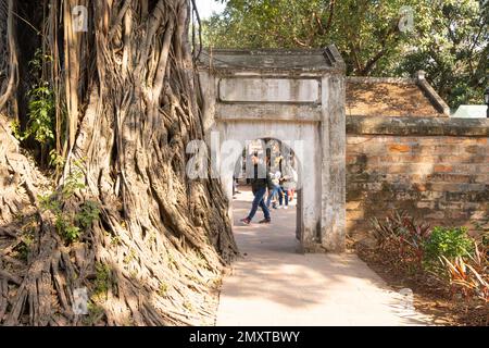 Hanoi, Vietnam, Januar 2023. Besucher im großen Park mit den historischen Gebäuden im Literaturtempel Stockfoto