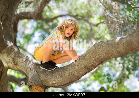 8 Jahre alter Junge, der im Park hoch auf Bäume klettert. Die Höhenangst überwinden. Glückliche Kindheit. Der Junge klettert auf den Baum. Stockfoto