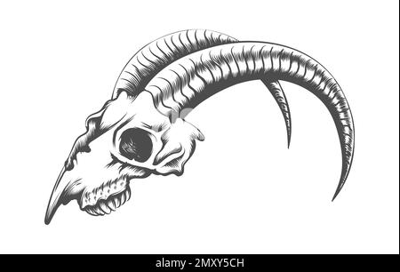 Tätowierung des Ziegenschädels im Gravurstil, isoliert auf weißem Hintergrund. Vektordarstellung. Stock Vektor