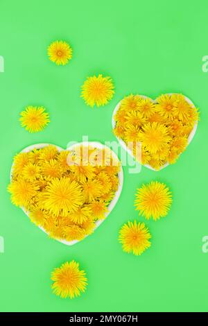 Löwenzahn Blume Gesundheit Lebensmittel für natürliche pflanzliche Medizin, um Cholesterin und Blutdruck zu senken. Wichtig für die Bestäubung von Bienen. Stockfoto