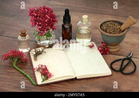 Baldrian Kräuter Pflanze Medizin mit Wurzel, Blumen, Notizbuch, Öl Essence Flaschen. Natürliche pflanzliche Heilmittel zur Behandlung, Angst, Schlaflosigkeit, Kopfschmerzen. Stockfoto