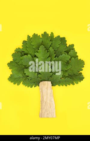 Surreale Eichenbaumform abstraktes Konzeptsymbol mit grünen Blättern und Stamm. Umweltfreundliches Design für Marken und Logos. Auf Gelb. Stockfoto