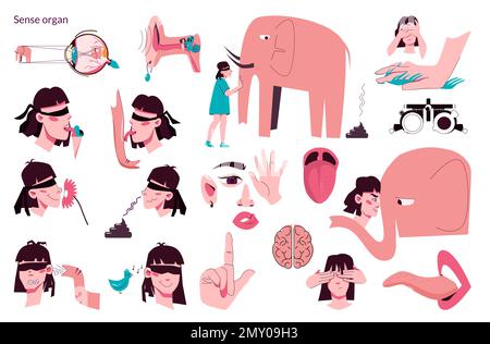 Sense Organ Menschen flaches Symbol Setzen menschliche Sinne Hören Geruch Geschmackszusammensetzung mit Beispielen für Eiscreme Elefanten Vektordarstellung Stock Vektor