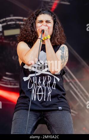 Frankreich 21. Juni 2019 Stinky - live at Hell Fest Clisson © Andrea Ripamonti / Alamy Stockfoto