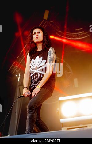 Frankreich 21. Juni 2019 Stinky - live at Hell Fest Clisson © Andrea Ripamonti / Alamy Stockfoto