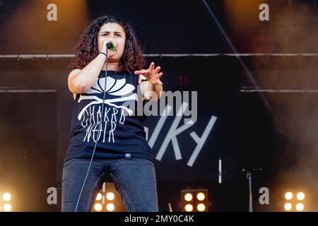 Frankreich 21. Juni 2019 Stinky - live at Hell Fest Clisson © Andrea Ripamonti / Alamy Stockfoto