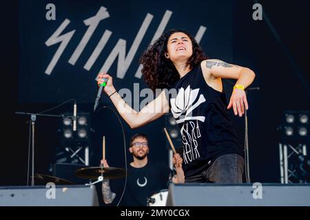 Frankreich 21. Juni 2019 Stinky - live at Hell Fest Clisson © Andrea Ripamonti / Alamy Stockfoto