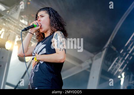 Frankreich 21. Juni 2019 Stinky - live at Hell Fest Clisson © Andrea Ripamonti / Alamy Stockfoto