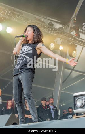 Frankreich 21. Juni 2019 Stinky - live at Hell Fest Clisson © Andrea Ripamonti / Alamy Stockfoto