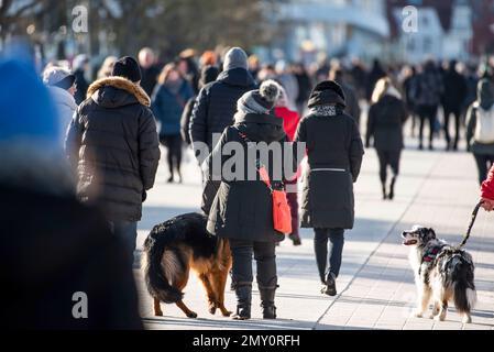 04. Februar 2023, Mecklenburg-Vorpommern, Warnemünde: Spaziergänge auf der Promenade von Warnemünde unter blauem Himmel und Sonnenschein. Die Winterferien beginnen dieses Wochenende in Mecklenburg-Vorpommern. Foto: Frank Hormann/dpa Stockfoto