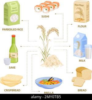 Flache Infografik für Reisprodukte mit Flussdiagramm von Produkt- und Mahlzeit Bildern mit editierbaren Textbeschriftungen Vektordarstellung Stock Vektor