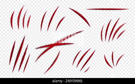 Das Scratches Biest ist ein realistisches Set mit transparentem Hintergrund und blutiger Kratzer von Krallen und wilden Tierzähnen Stock Vektor