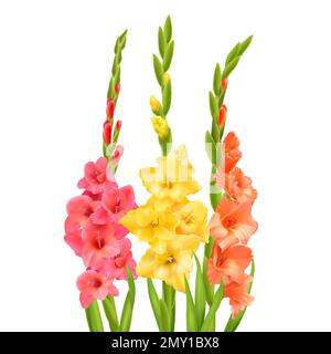 Gladiolusblüten mit Knospen und Blättern vor weißem Hintergrund realistische Vektordarstellung Stock Vektor