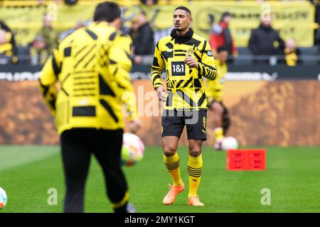 DORTMUND, DEUTSCHLAND - FEBRUAR 4: Sebastien Haller von Borussia Dortmund während des Bundesliga-Spiels zwischen Borussia Dortmund und SC Freiburg am Signal Iduna Park am 4. Februar 2023 in Dortmund (Foto: Marcel ter Bals/Orange Pictures) Stockfoto