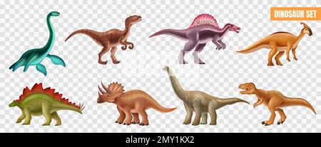 Realistisches Dinosaurierset mit Triceratops spinosaurus stegosaurus branchiosaurus tyrannosaurus isoliert auf transparenter Hintergrundvektordarstellung Stock Vektor