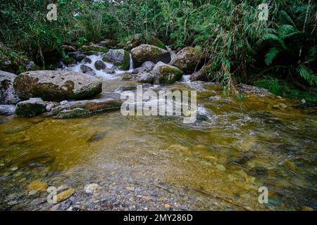 Wunderschöne Landschaft eines Wasserlaufs in den Wäldern des Nebelwaldes von Peru, kristallines und reines Wasser, das kleine Wasserfälle in so einem n bildet Stockfoto