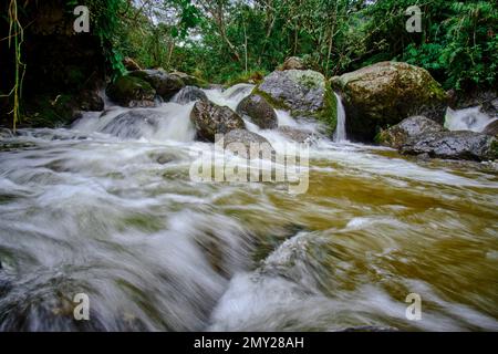 Wunderschöne Landschaft eines Wasserlaufs in den Wäldern des Nebelwaldes von Peru, kristallines und reines Wasser, das kleine Wasserfälle in so einem n bildet Stockfoto