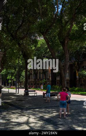 Die breite Promenade der Rio Branco Avenue, umgeben von grüner Vegetation und Baumschatten direkt am Gebäude des National Museum of Fine Arts an einem sonnigen Tag. Stockfoto