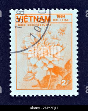 Von Vietnam gedruckte Briefmarke, die Dahlia coccinea zeigt, ca. 1984. Stockfoto