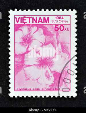 Von Vietnam gedruckte Briefmarke, die chinesischen Hibiskus (Hibiscus rosa-sinensis) zeigt, etwa 1984. Stockfoto