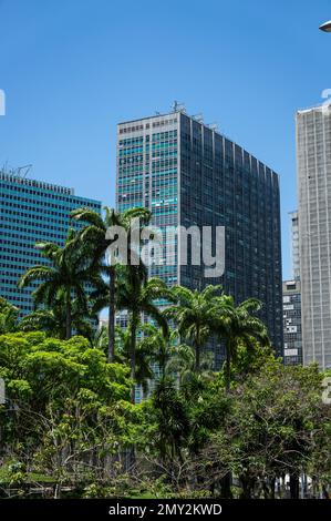 Teilweise Blick auf das blaue Avenida Central Gebäude im Centro Viertel hinter hohen Bäumen, wie man es von der Republica do Chile Avenue unter dem klaren blauen Himmel im Sommer sieht. Stockfoto